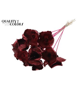 QC Palm Cup on stem Cerise | Per 50 stuks