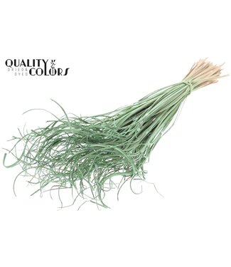 QC Palm Curly TT 3pc/tuft - 33 tuft/bunch Frosted Mint Green | Per 5 stuks