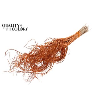 QC Palm Curly TT 3pc/tuft - 33 tuft/bunch Orange ( x 5 )