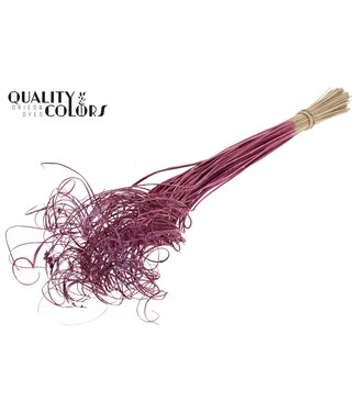 QC Palm Curly TT 100pc per bunch Metallic Pink | Per 5 stuks