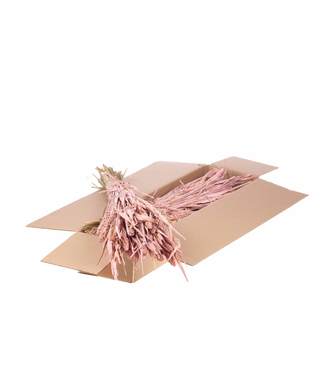 LDD Setarea séchée | Shopbox Lilac Misty fleurs séchées | Par 4 bouquets
