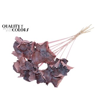 QC Palm Cup on stem Frosted Light Pink | Per 50 stuks
