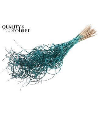 QC Palm Curly TT 3pc/tuft - 33 tuft/bunch Turquoise | Per 5 stuks