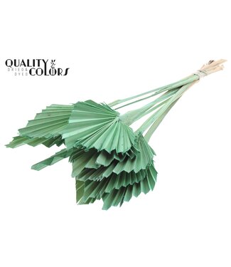 QC Palmier séché en forme de lance | Feuilles de palmier vert menthe givré en forme de lance | Par 50 pièces