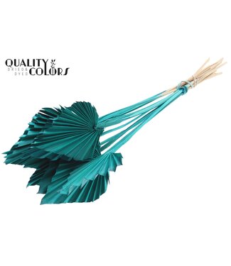 QC Palm Spear Séché | Feuilles de palmier turquoise en forme de lance | Par 50 pièces