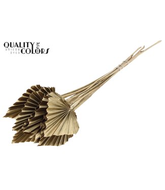 QC Dried Palm Spear | Antique Gold-Coloured Palm Leaves in Spear Shape | Per 50 Pieces