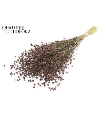 QC Lino Vlas p/bunch in poly Brown | Per 6 stuks