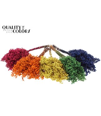 QC Pepperberries per bunch in poly Mixed colours | Per 5 stuks