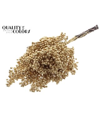 QC Pepperberries per bunch in poly Antique Gold ( x 5 )