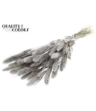 QC Setaria per bunch Platina + Glitter ( x 6 )