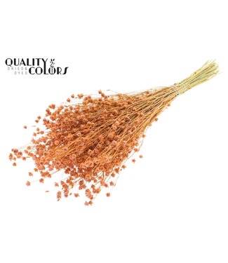 QC Lino Vlas p/bunch in poly Frosted Salmon | Per 6 stuks