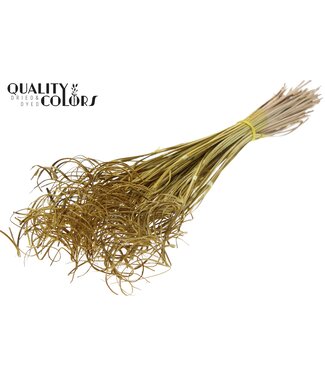 QC Palm Curly TT 3pc/tuft  - 33 tuft/bunch Yellow | Per 5 stuks