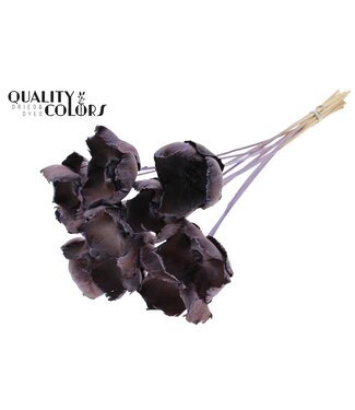 QC Palm Cup on stem Frosted Milka | Per 50 stuks