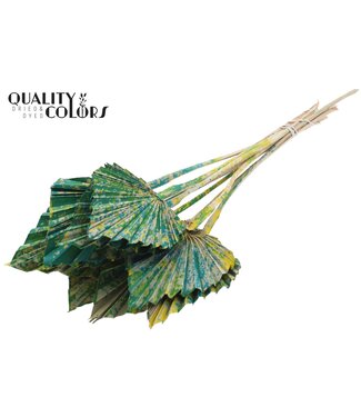 QC Gedroogde Palm Spear | Groene Mix Palmbladeren in speervorm | Per 50 stuks