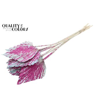 QC Gedroogde Palm Spear | Splashed Lichtblauw Cerise Palmbladeren in speervorm | Per 50 stuks