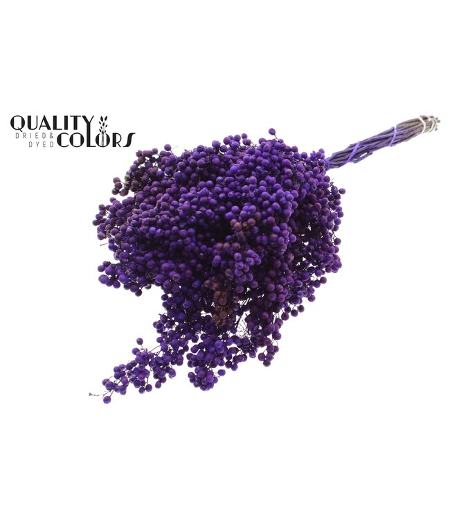Pepperberries per bunch in poly Purple ( x 5 )