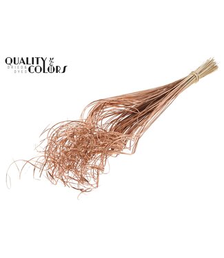 QC Palm Curly TT 100pc per bunch Copper ( x 5 )