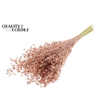 QC Lino Vlas p/bunch in poly Copper | Per 6 stuks