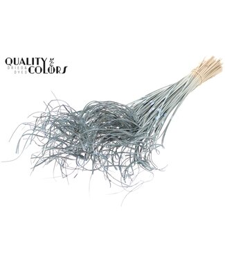 QC Palm Curly TT 3pc/tuft - 33 tuft/bunch Frosted Light Blue ( x 5 )