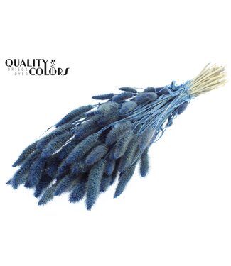 QC Setaria per bunch Pearl Blue ( x 6 )