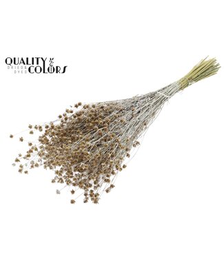 QC Lino Vlas p/bunch in poly Pearl White | Per 6 stuks