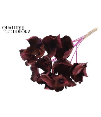 QC Palm Cup on stem Lilac | Per 50 stuks