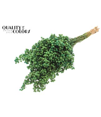 QC Pepperberries per bunch in poly Mint green ( x 5 )