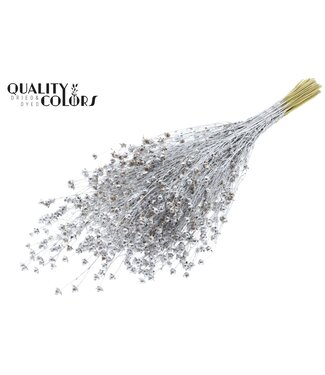 QC Lino Vlas p/bunch in poly Silver | Per 6 stuks