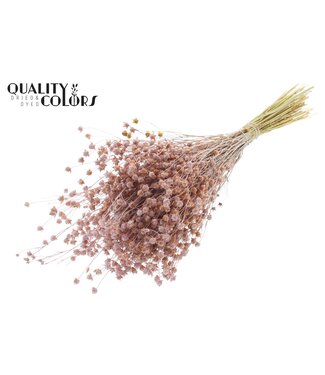 QC Lino Vlas p/bunch in poly Frosted Pink | Per 6 stuks