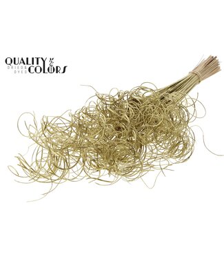 QC Palm Curly TT 3pc/tuft - 33 tuft/bunch Gold | Per 5 stuks