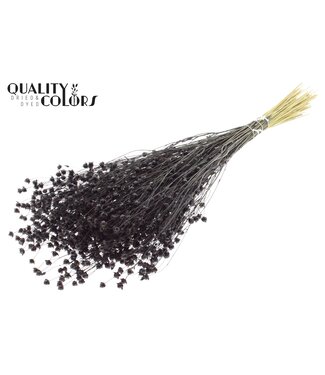 QC Lino Vlas p/bunch in poly Black | Per 6 stuks
