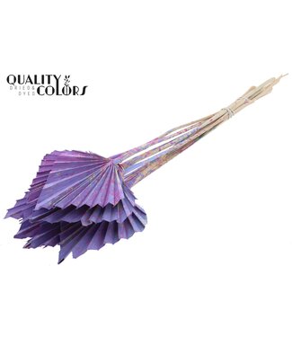 QC Getrocknete Palm Spear | Milka Mix Palmblätter in Speerform | Pro 50 Stück