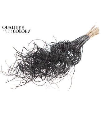 QC Palm Curly TT 3pc/tuft - 33tuft/bunch Black | Per 5 stuks