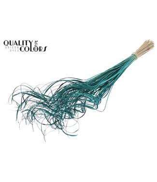 QC Palm Curly TT 100pc per bunch Turquoise | Per 5 stuks