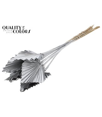 QC Getrocknete Palm Spear | Silberfarbene Palmblätter in Speerform | Pro 50 Stück