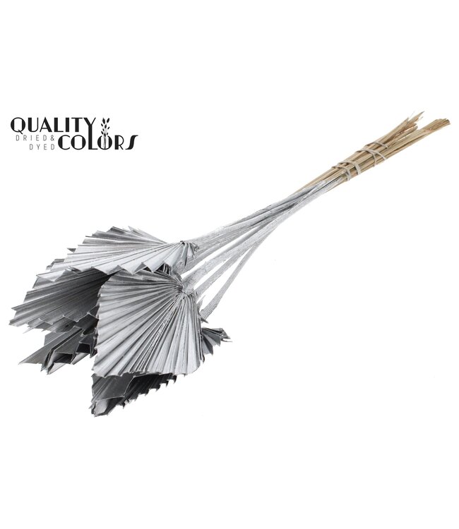 Palm Spear séchée | Feuilles de palmier argentées en forme de lance | Commandable par 50 pièces