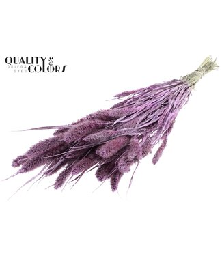 QC Setaria per bunch Metallic Pink + Glitter ( x 6 )