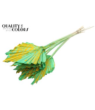QC Gedroogde Palm Spear | Splashed Mint Gele Palmbladeren in speervorm | Per 50 stuks