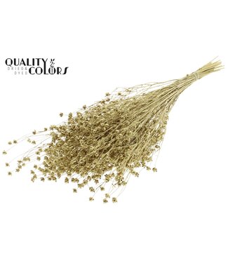 QC Lino Vlas p/bunch in poly Gold + Glitter | Per 6 stuks