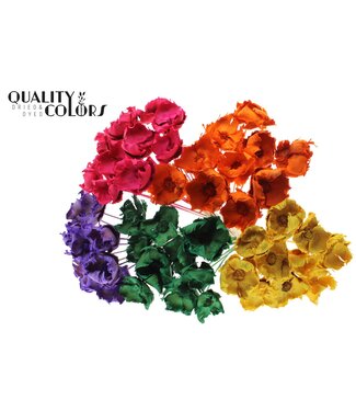 QC Palm cup on stem Intense Mixed Colours ( x 50 )