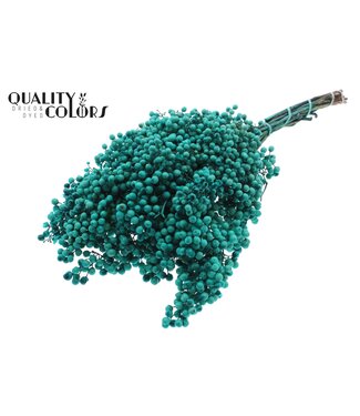 QC Pepperberries per bunch in poly Turquoise ( x 5 )