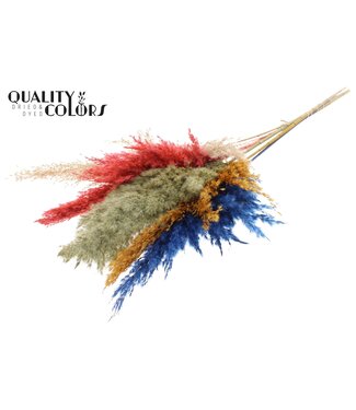 QC Colourful Mix 6 Pampas Pluimen | Pampas Grass lengte 100 centimeter | 5 pluimen per bos | Per 10 bossen