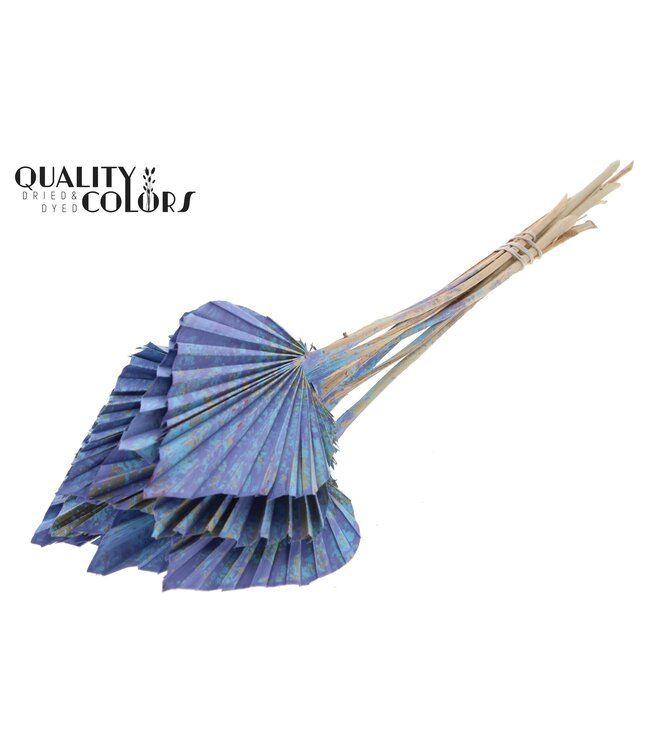 Getrocknete Palm Spear | Hellblaue Mix Palmenblätter in Speerform | Pro 50 Stück bestellbar