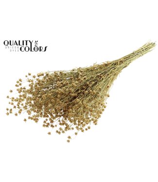 QC Lino Vlas p/bunch in poly Natural | Per 6 stuks