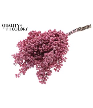 QC Pepperberries per bunch in poly Frosted Pink ( x 5 )