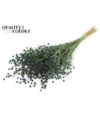 QC Lino Vlas p/bunch in poly Light Green | Per 6 stuks