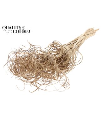 QC Palm Curly TT 3pc/tuft - 33 tuft/bunch Natural ( x 5 )