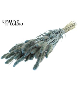 QC Setaria per bunch Pearl Light Blue ( x 6 )