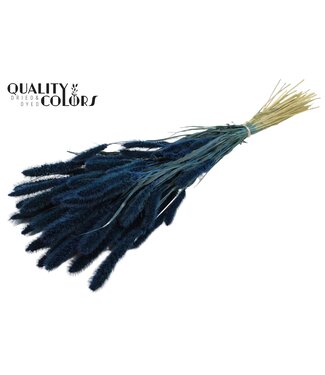 QC Setaria per bunch Dark Blue ( x 6 )