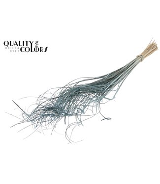 QC Palm Curly TT 100pc per bunch Frosted Light Blue | Per 5 stuks